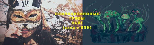 крисы Горнозаводск