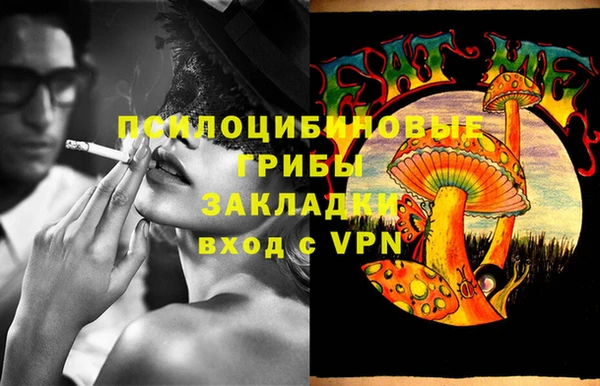 крисы Горнозаводск