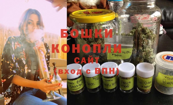 крисы Горнозаводск