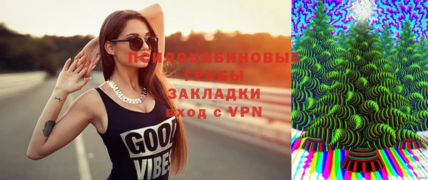 прущая мука Горняк