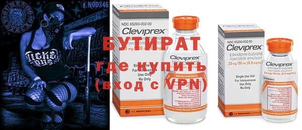 прущие грибы Вяземский