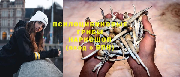 крисы Горнозаводск