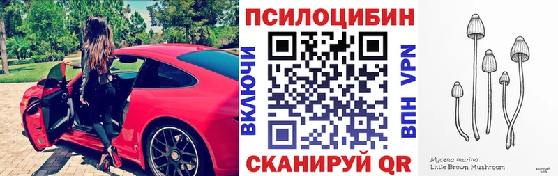 купить наркоту  Поворино  MEGA tor  Галлюциногенные грибы мухоморы 